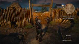 How to Get to the House of Respite of Witcher 3